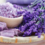 Unlocking the Beauty of Lavender: Benefits and Uses